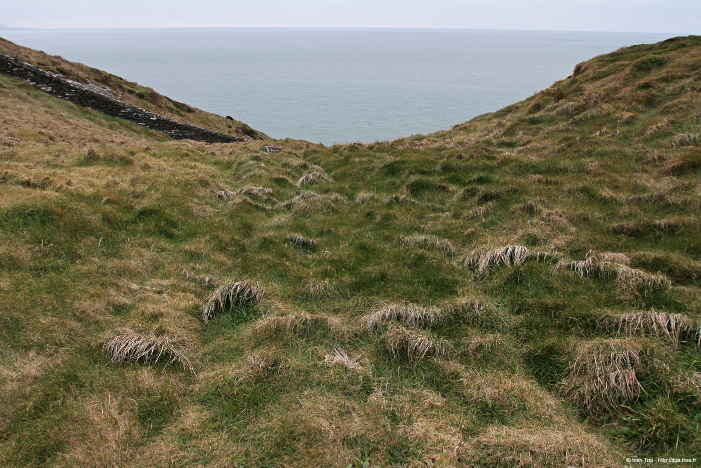 20120504_wicklow_head_coast13
