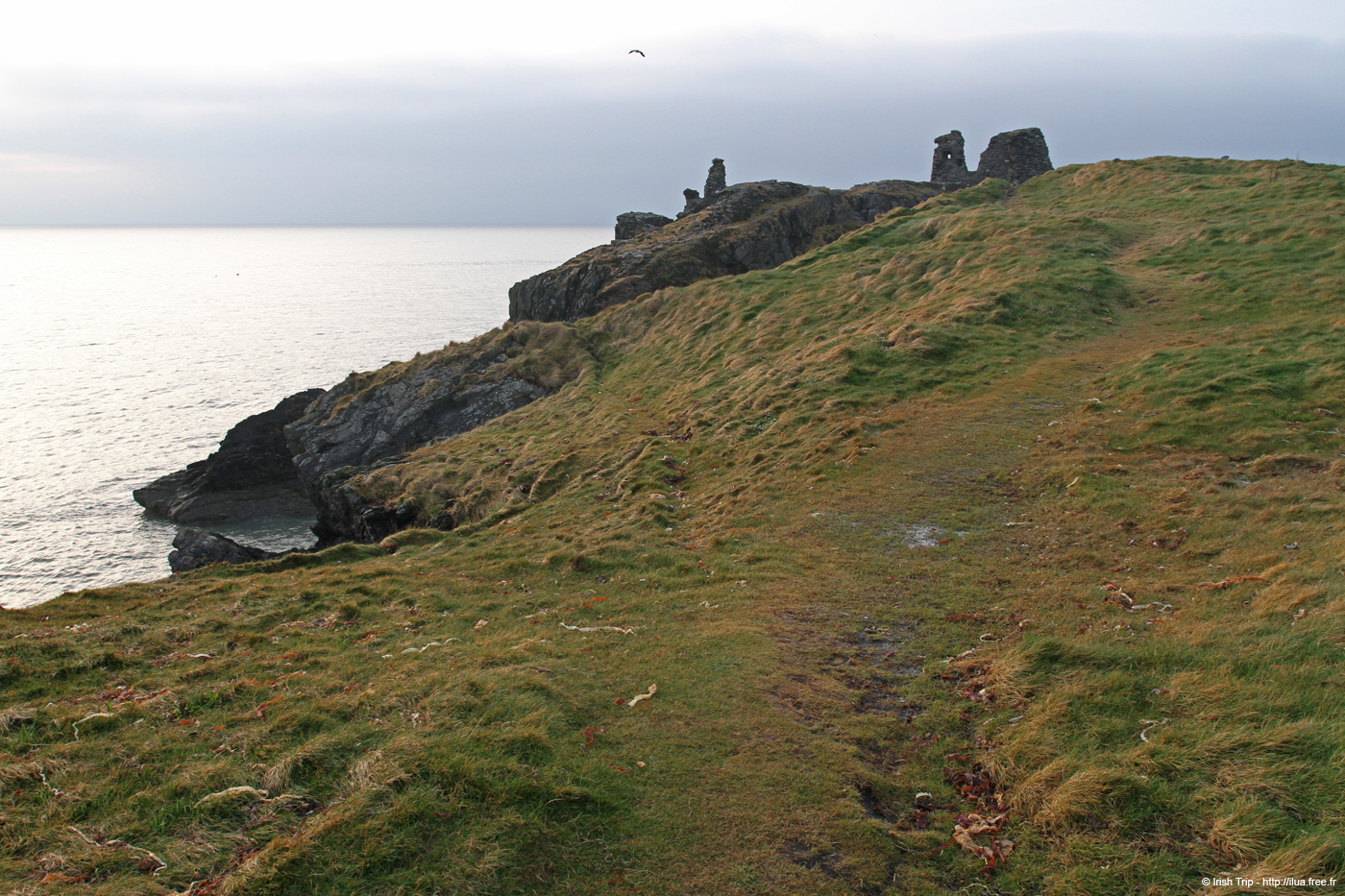 20120504_wicklowblackcastle01