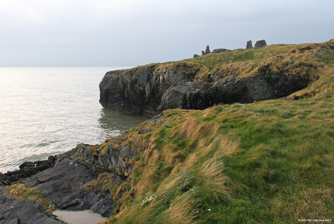 20120504_wicklowblackcastle02