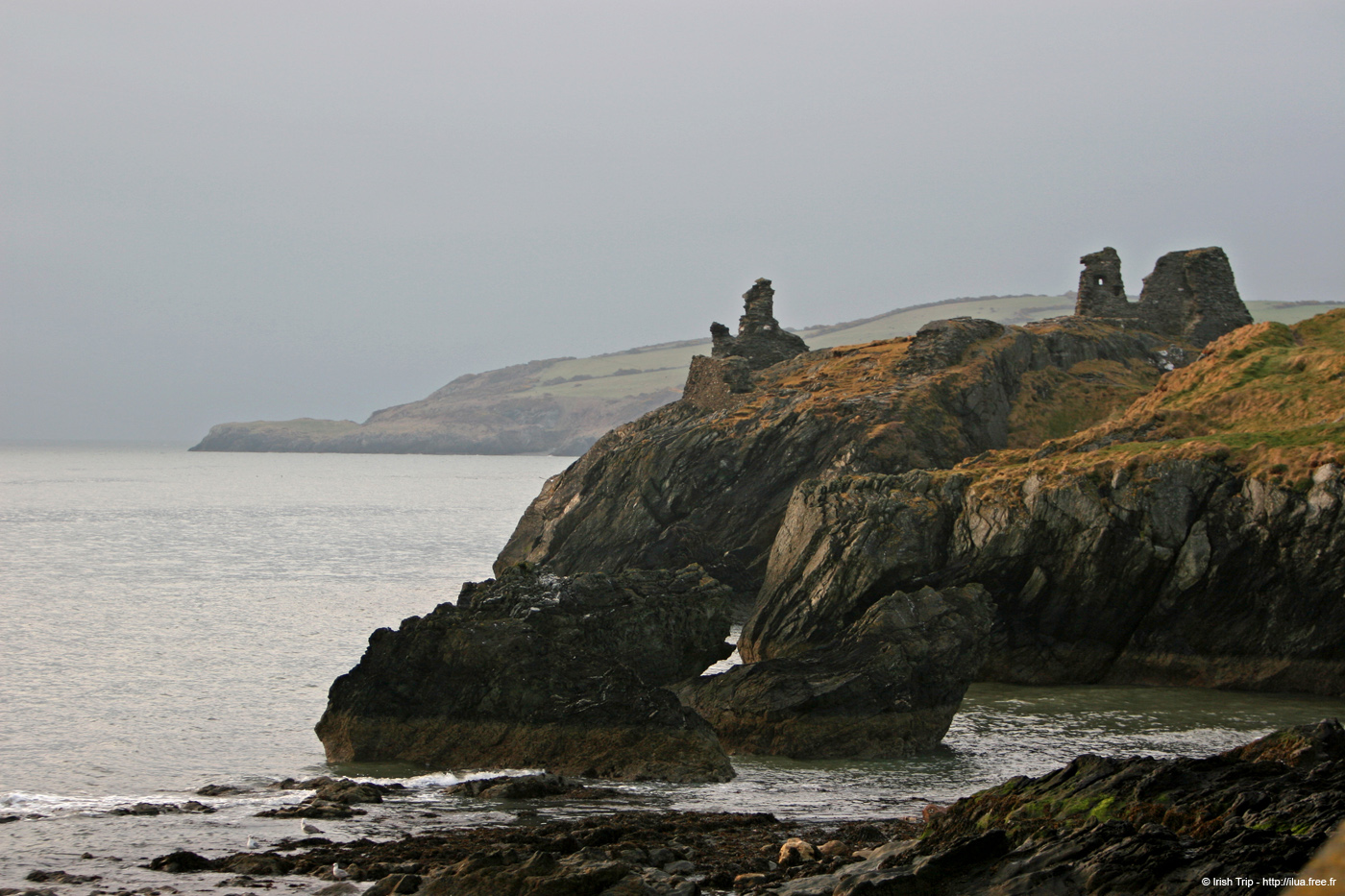 20120504_wicklowblackcastle03
