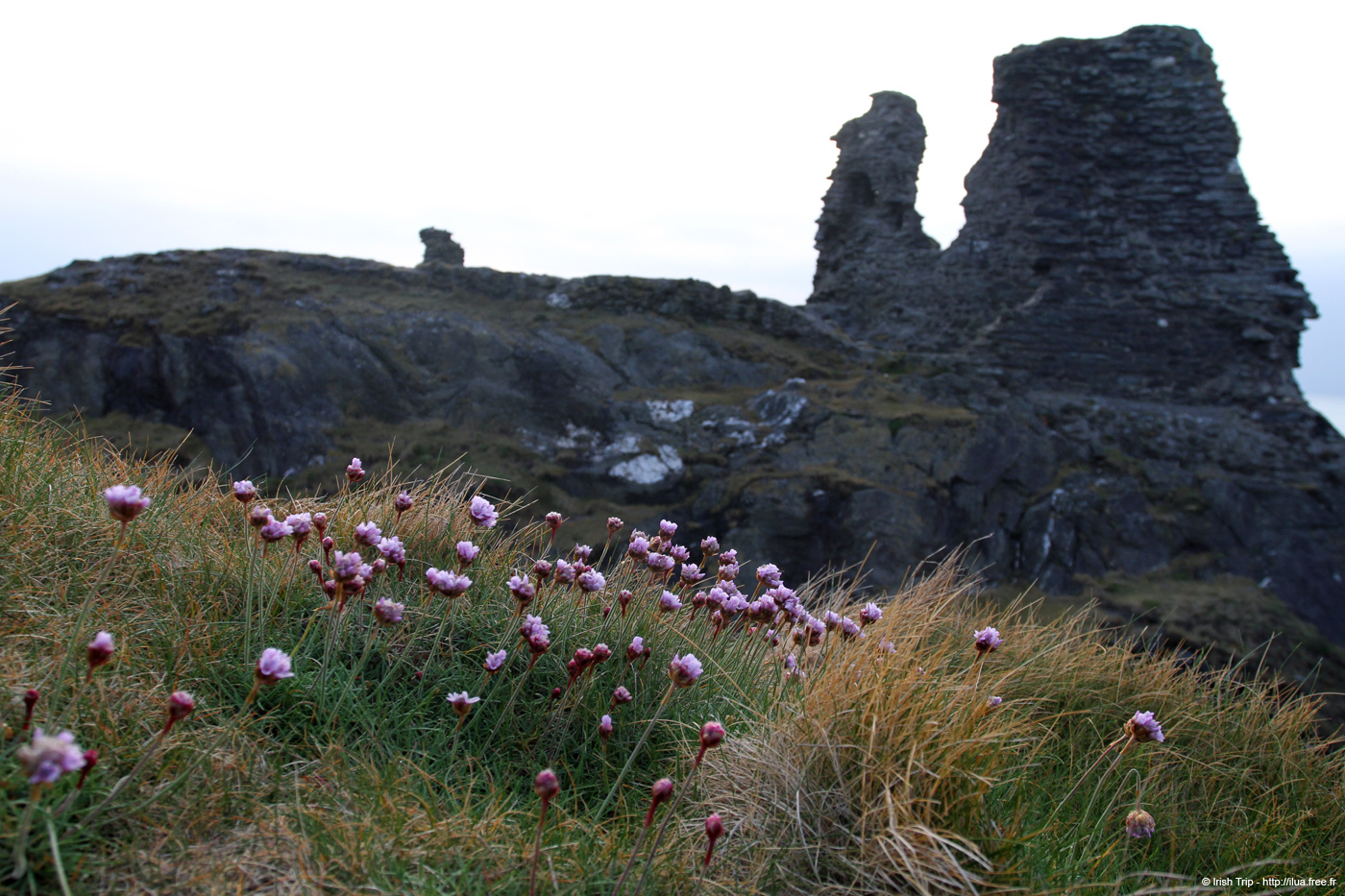 20120504_wicklowblackcastle05