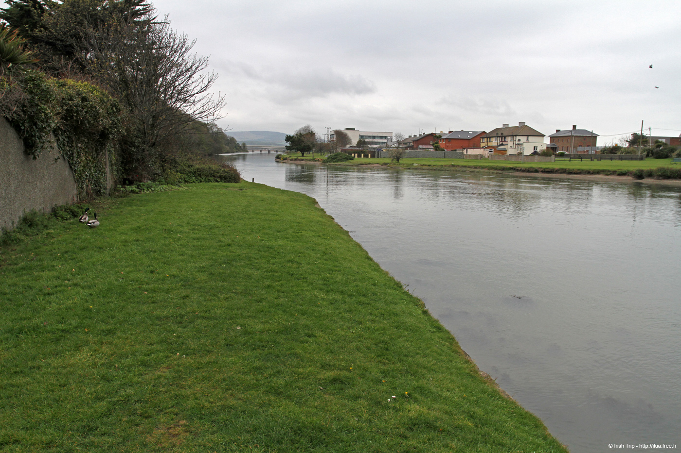20120504_wicklowleitrimriver