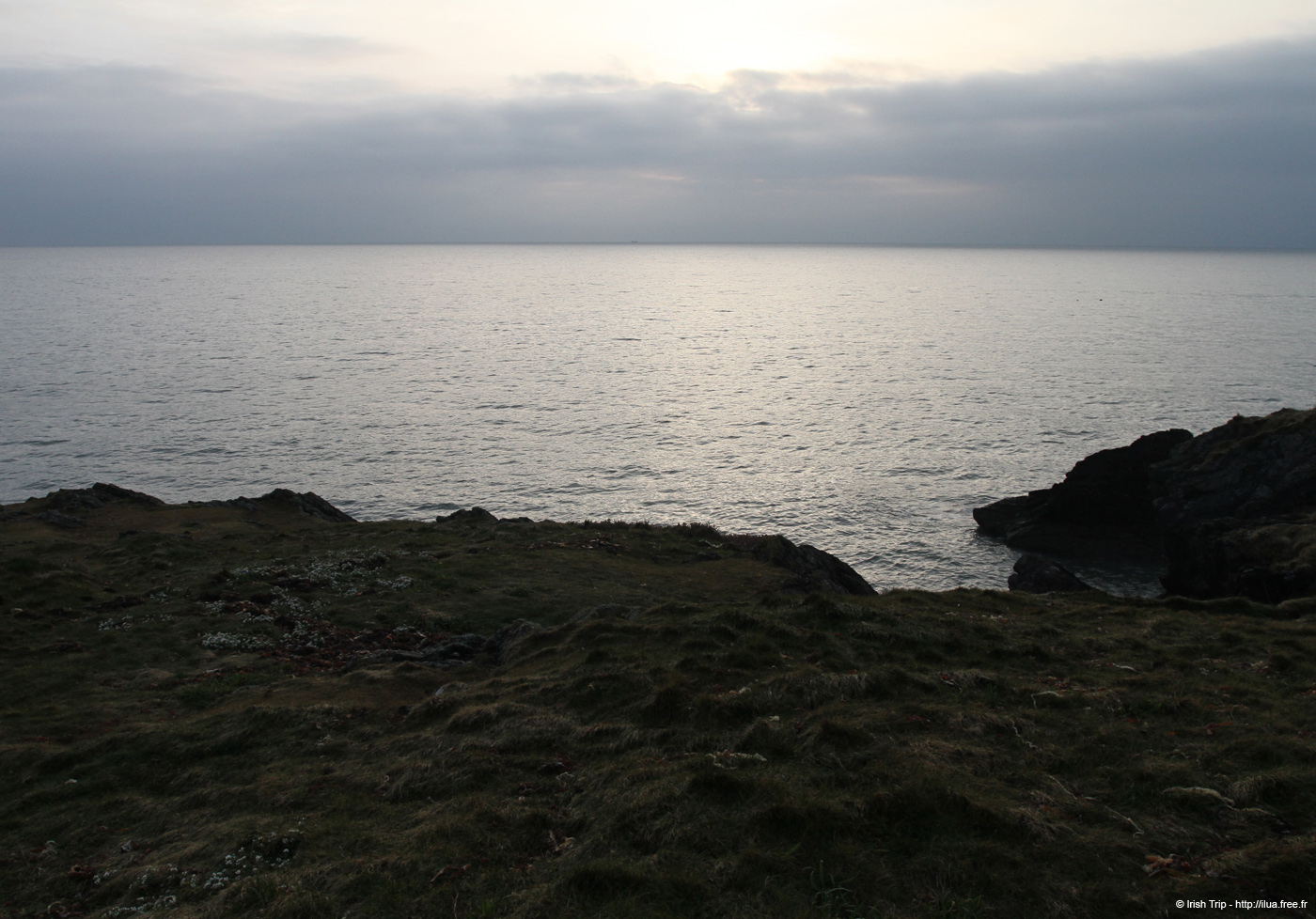 20120504_wicklowreavelahawkcoast3