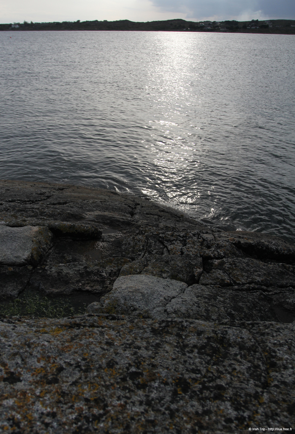 20120505_cashlabayfromtonacrickhead2