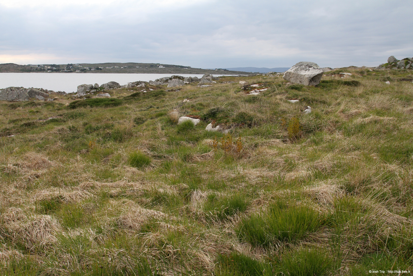 20120505_cashlabayinfromtonacrickhead05