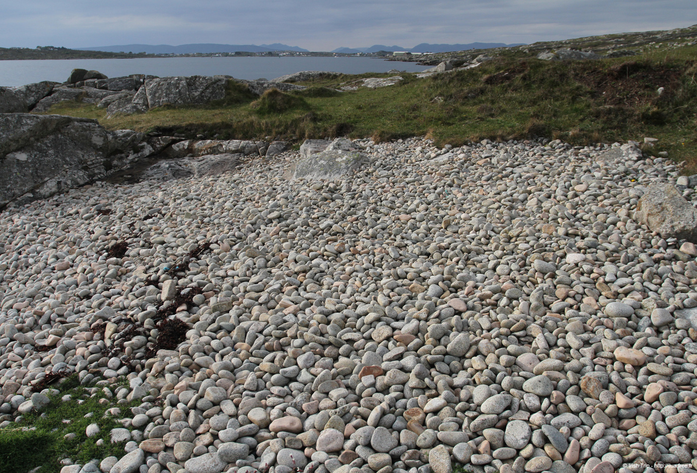 20120505_cashlabayinfromtonacrickhead08