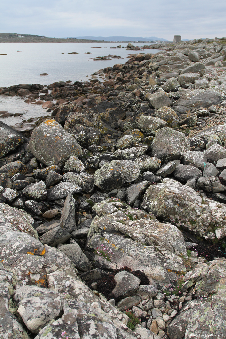 20120505_cashlabayinfromtonacrickhead09