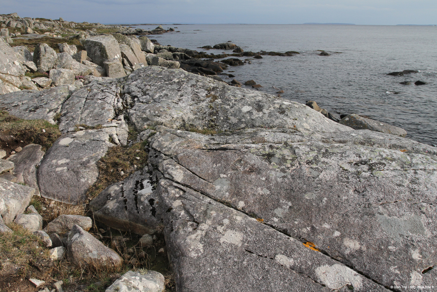 20120505_cashlabayoutfromtonacrickhead01