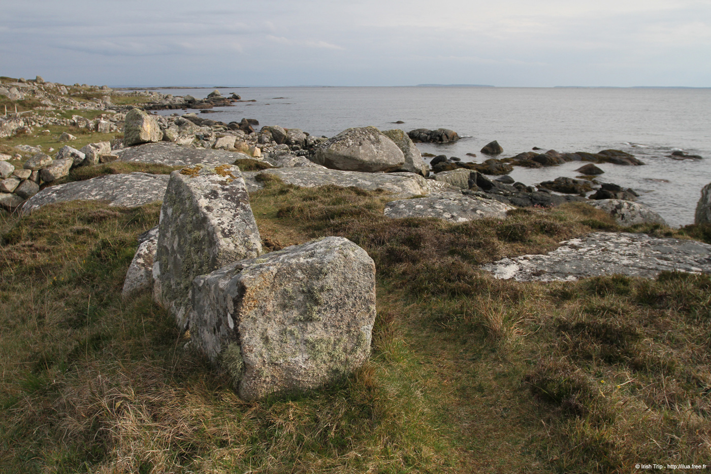20120505_cashlabayoutfromtonacrickhead02
