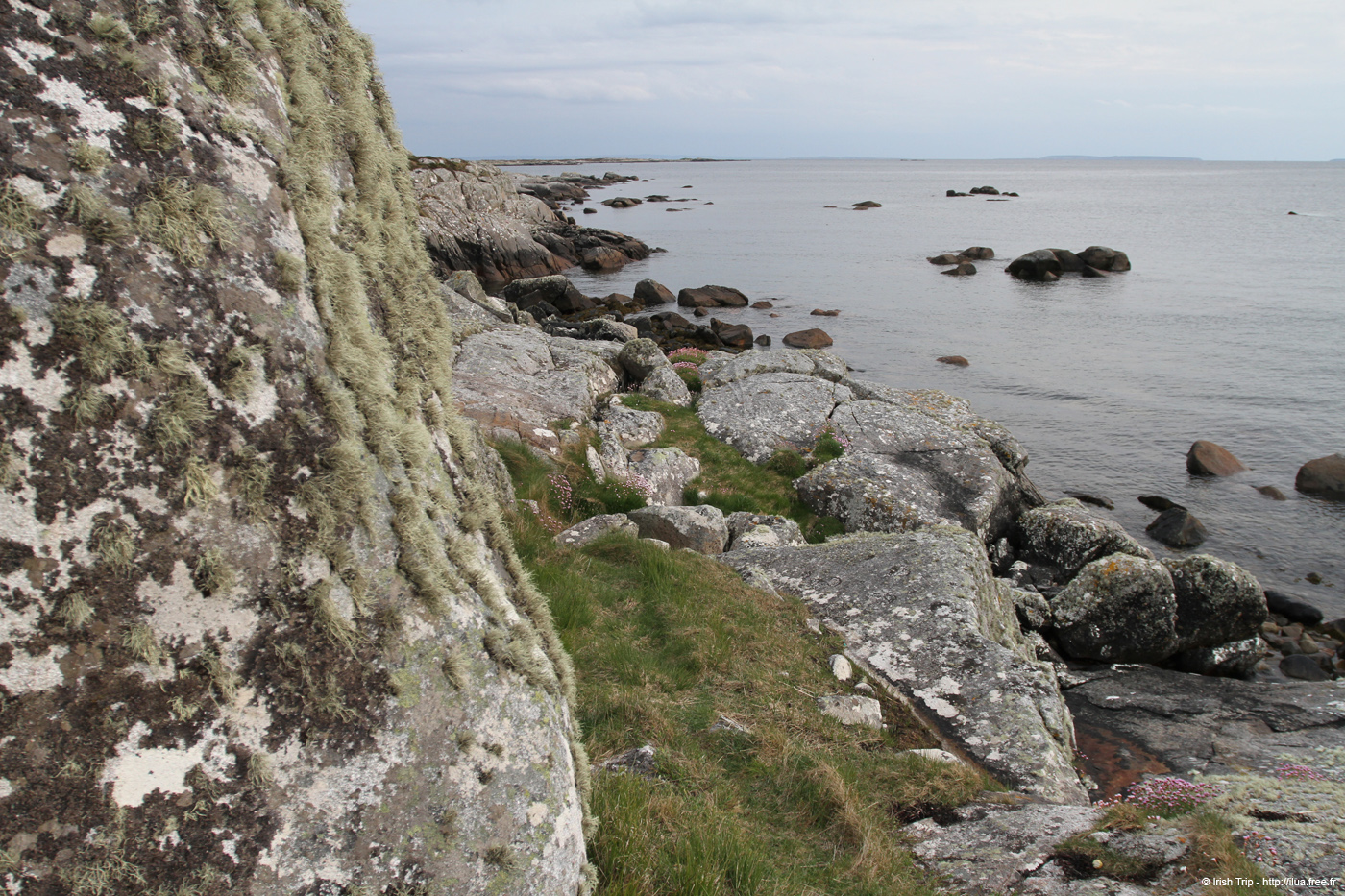 20120505_cashlabayoutfromtonacrickhead04