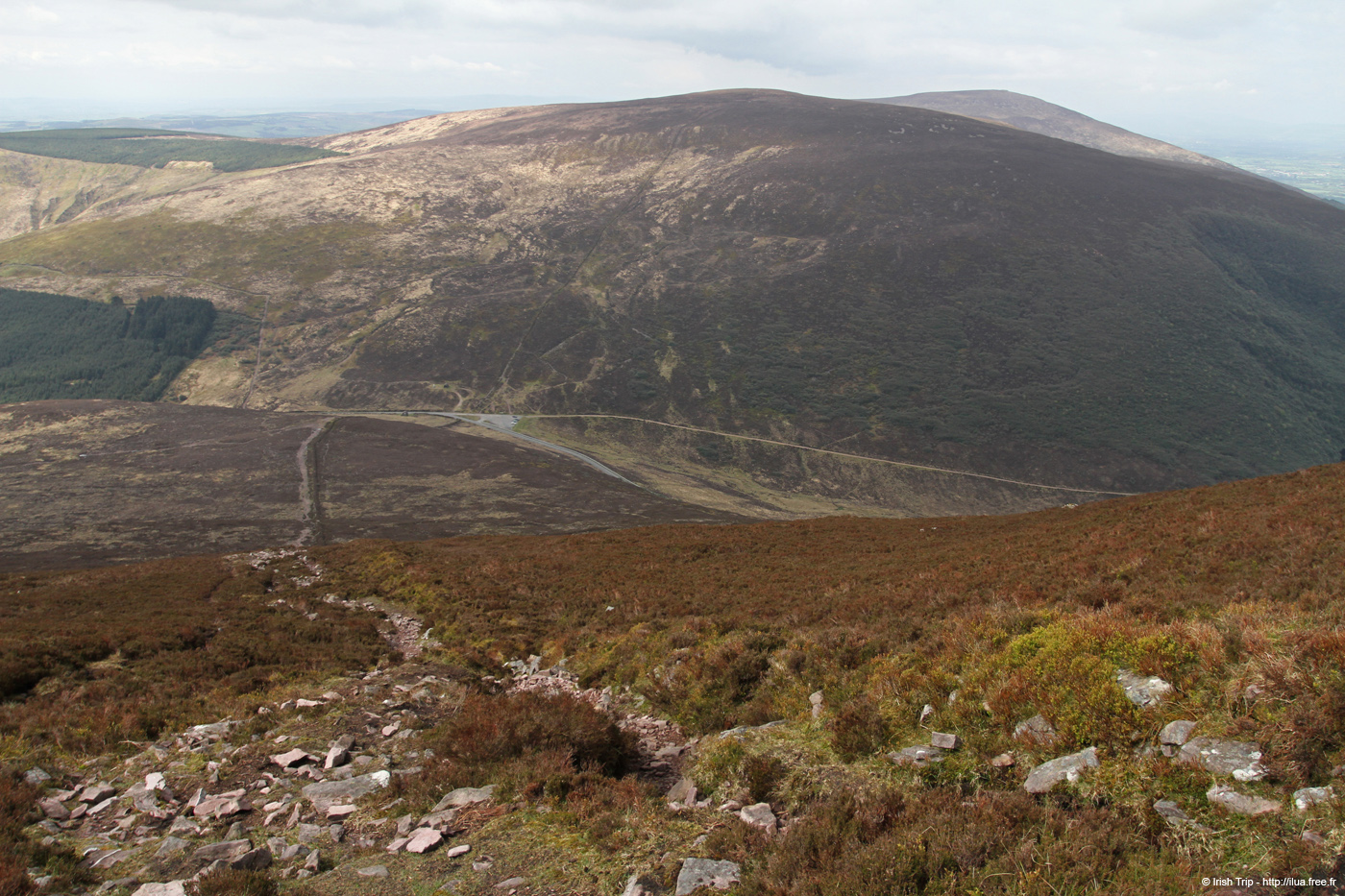 20120505_glentaunemongapfromsugarloafhillslopes3