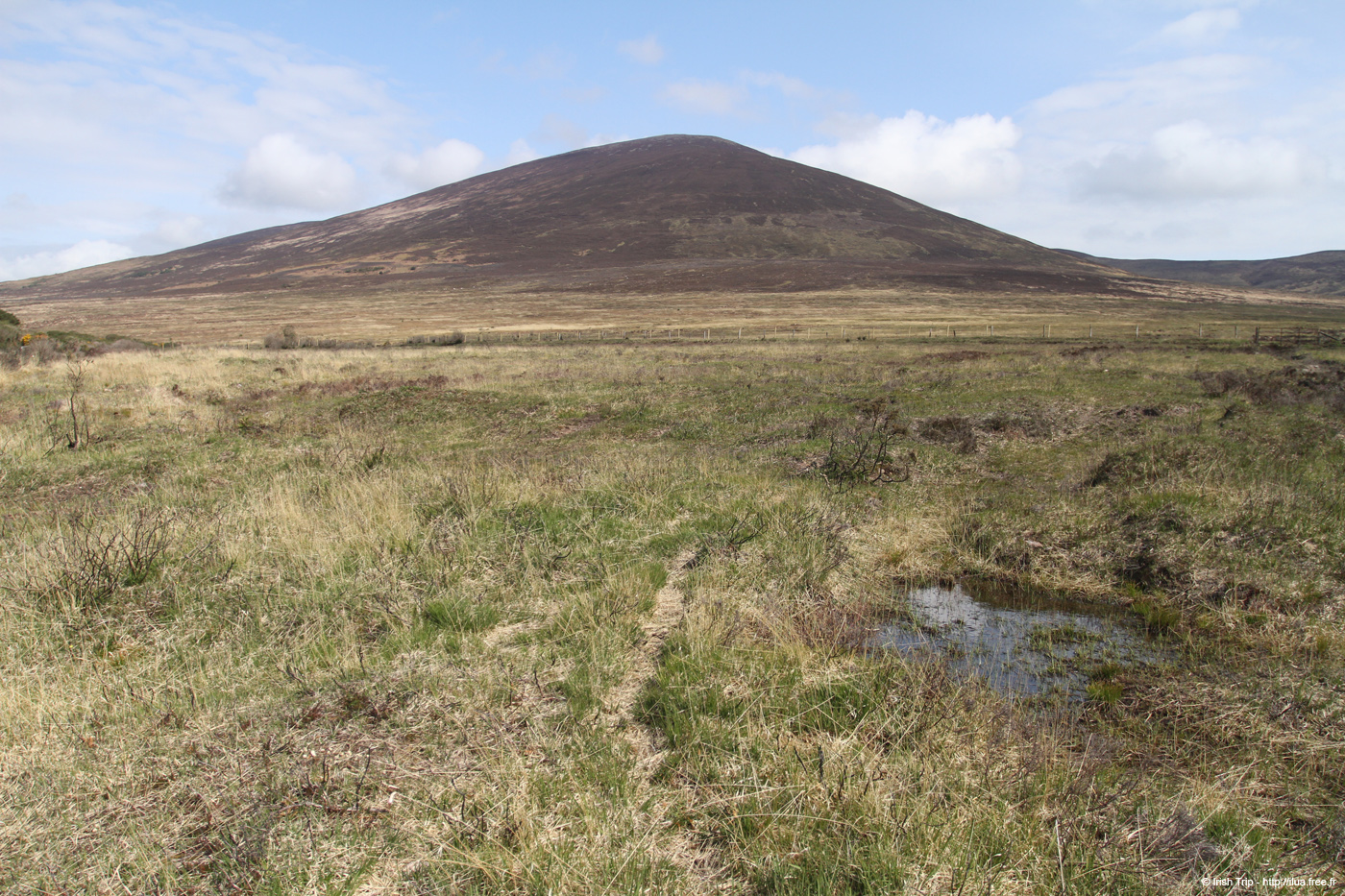 20120505_knockmealdownmountainsfromsw2