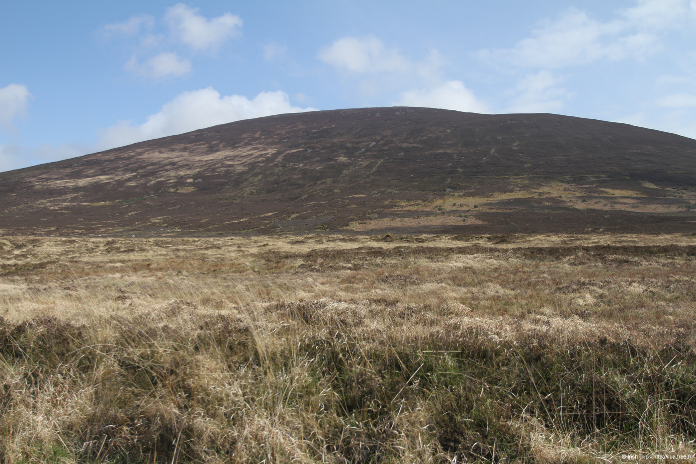 20120505_knockmealdownmountainsfromw1