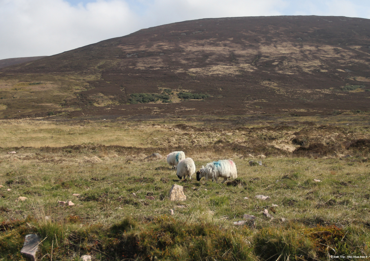 20120505_knockmealdownmountainsfromw2