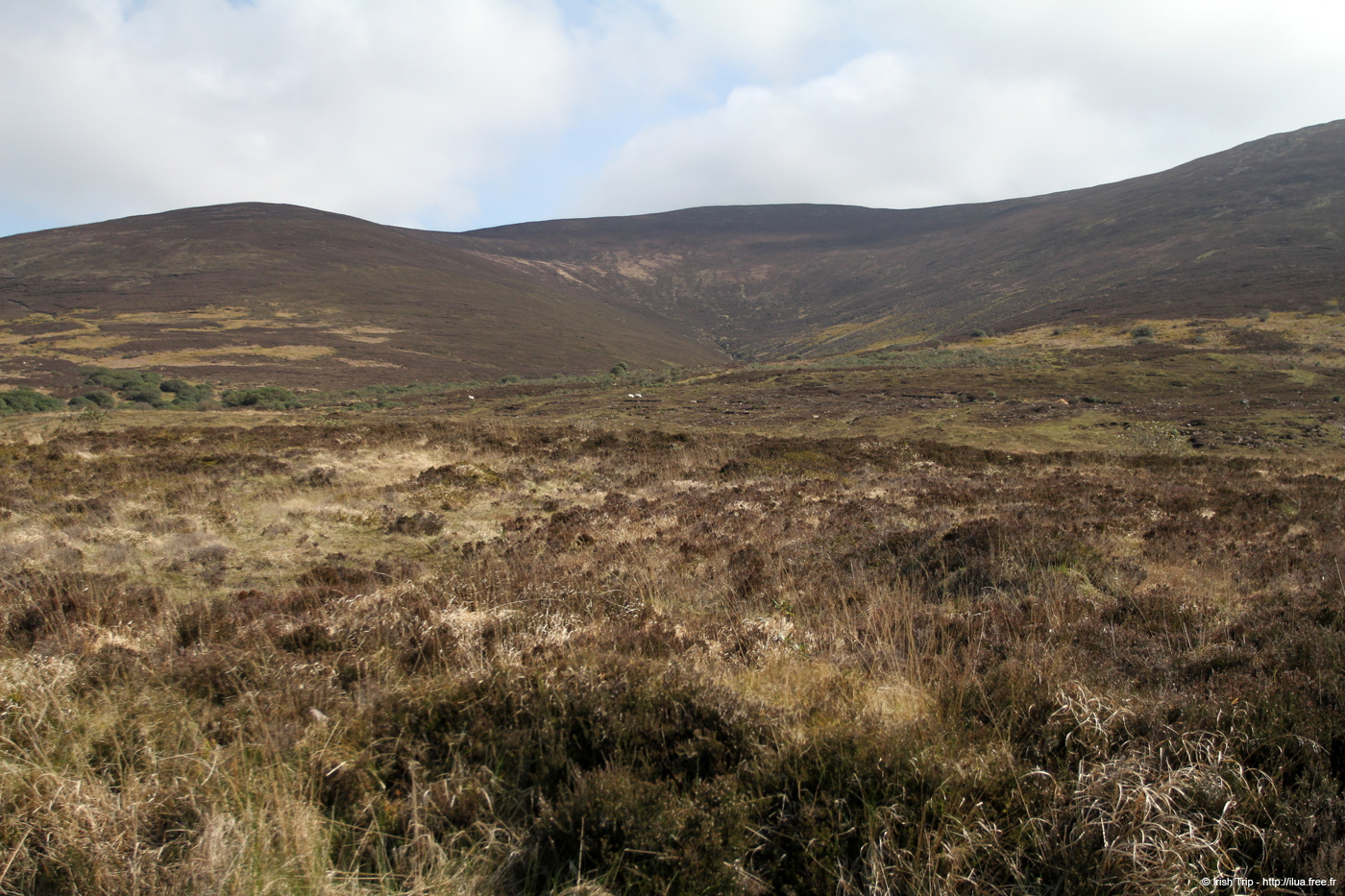 20120505_knockmealdownmountainsfromw3