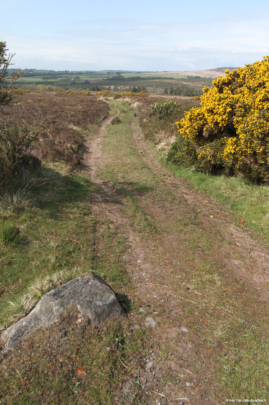 20120505_r669pathtoowennashadvalley