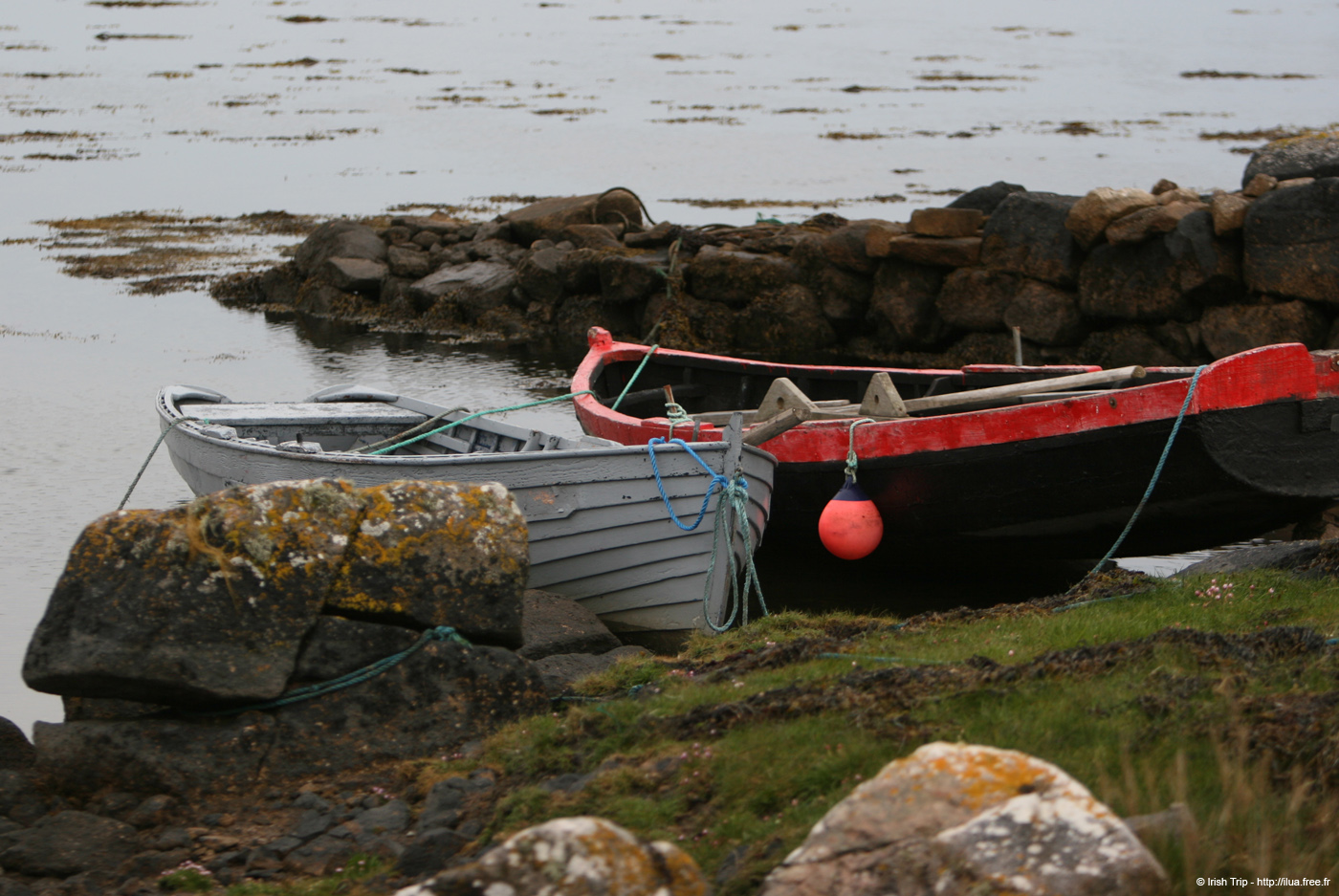 20120505_rossaveeballintlevabay