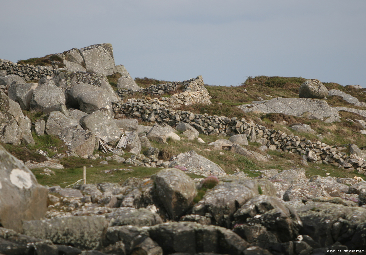 20120505_rossaveelhillsfromcashlabay1