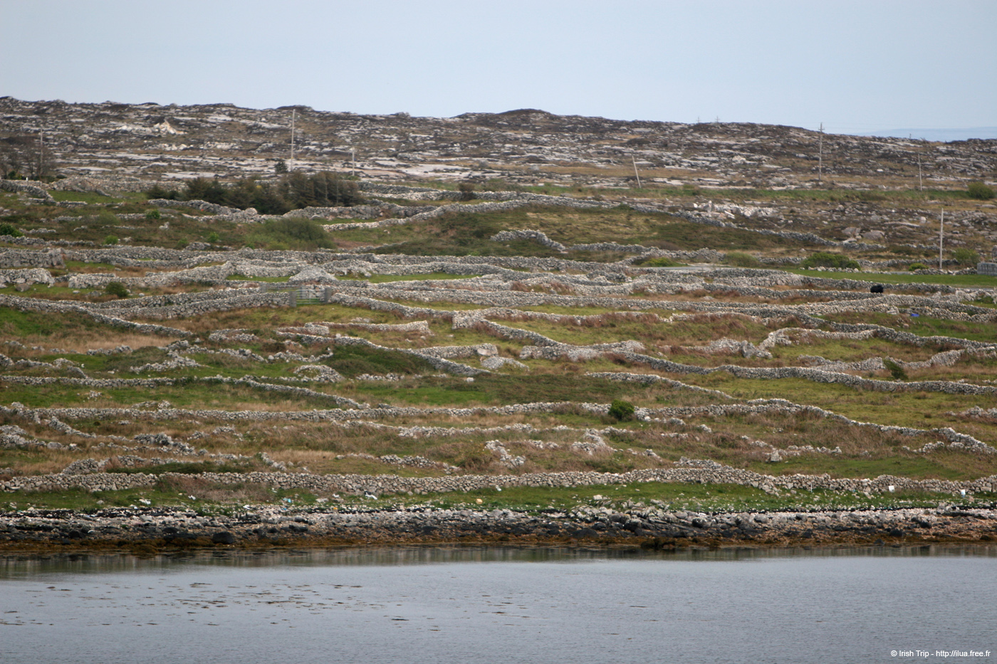 20120505_rossaveelhillsfromcashlabay2