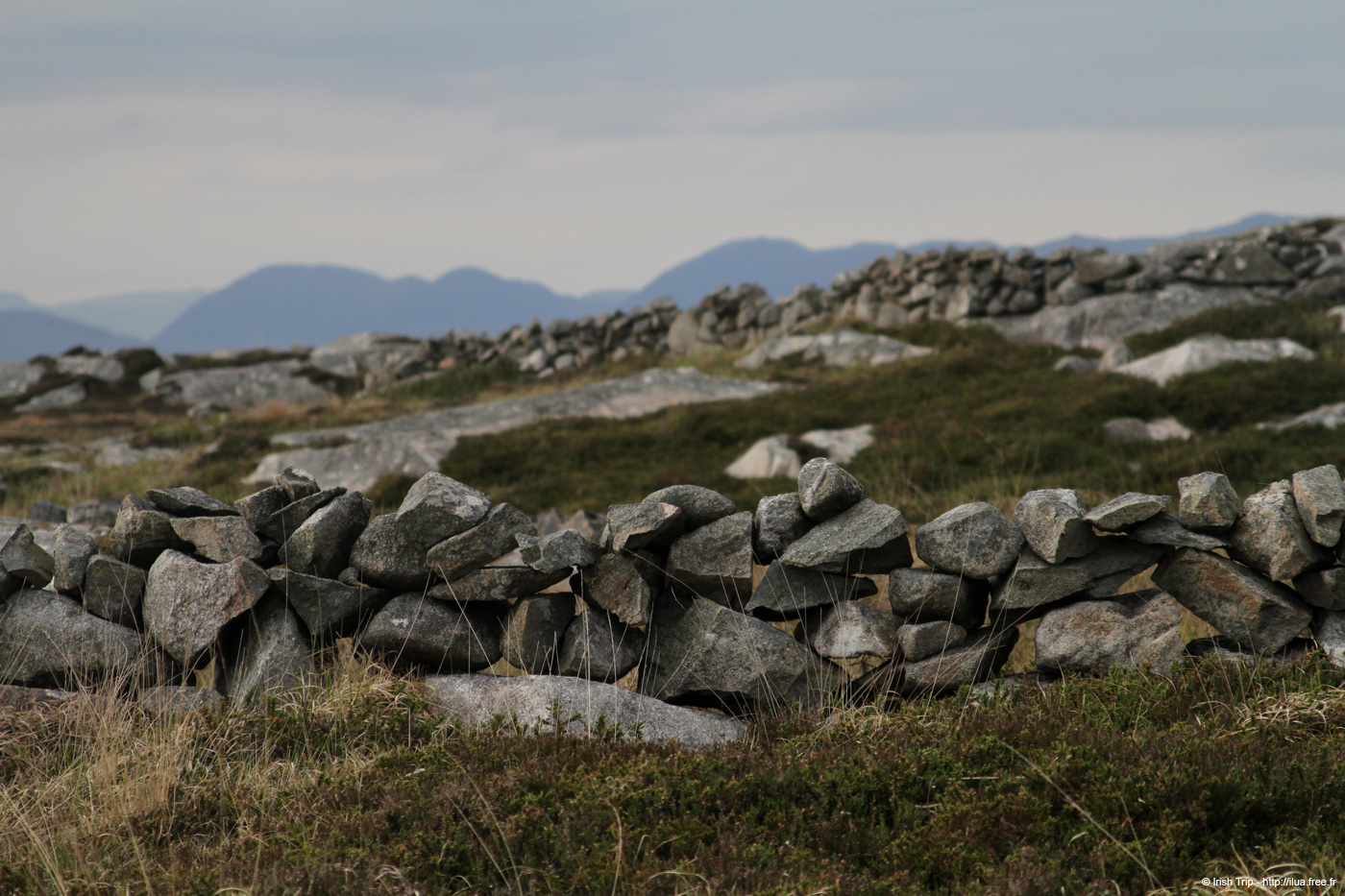 20120505_rossaveelhillstonewalls02