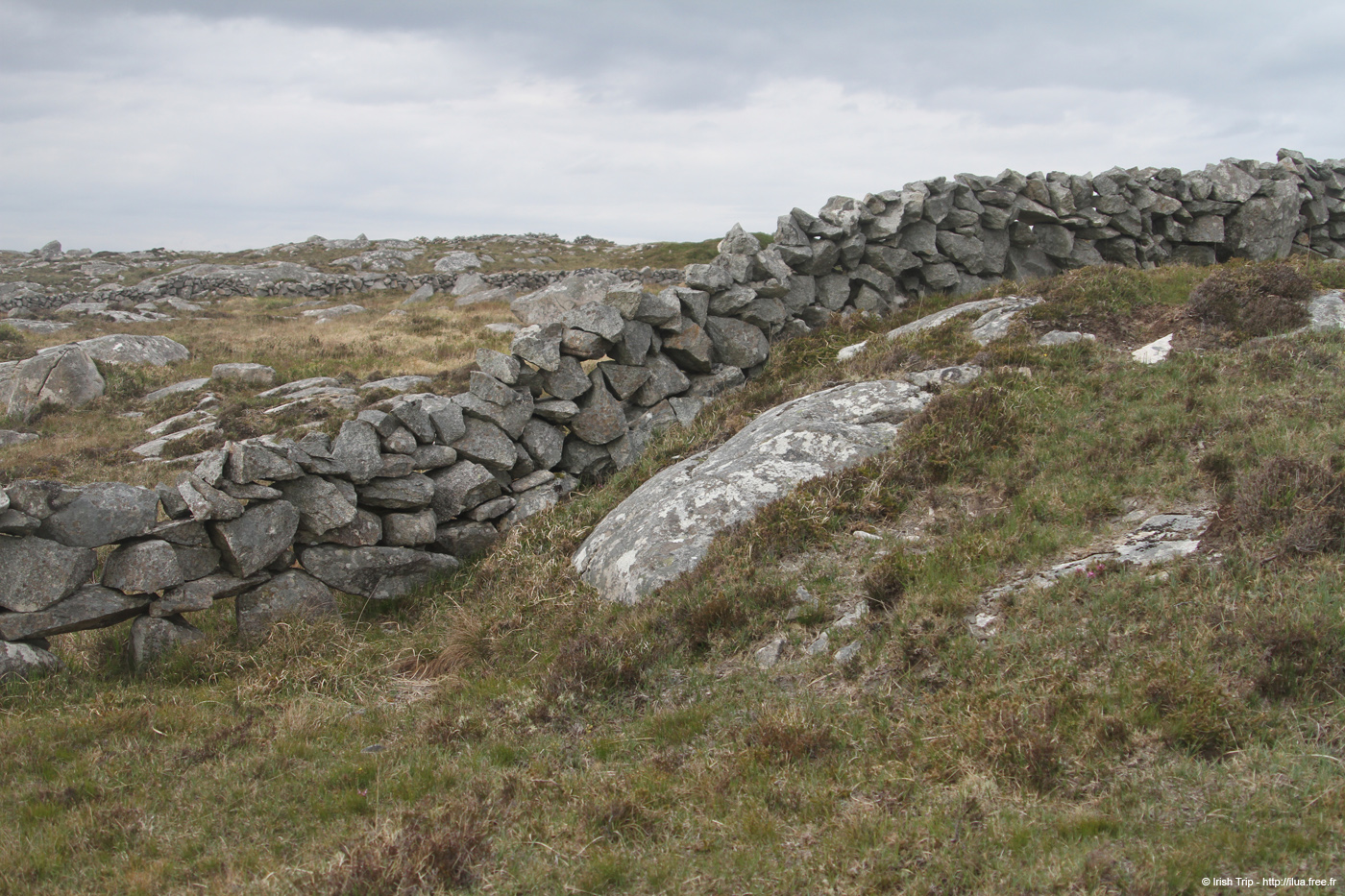 20120505_rossaveelhillstonewalls05