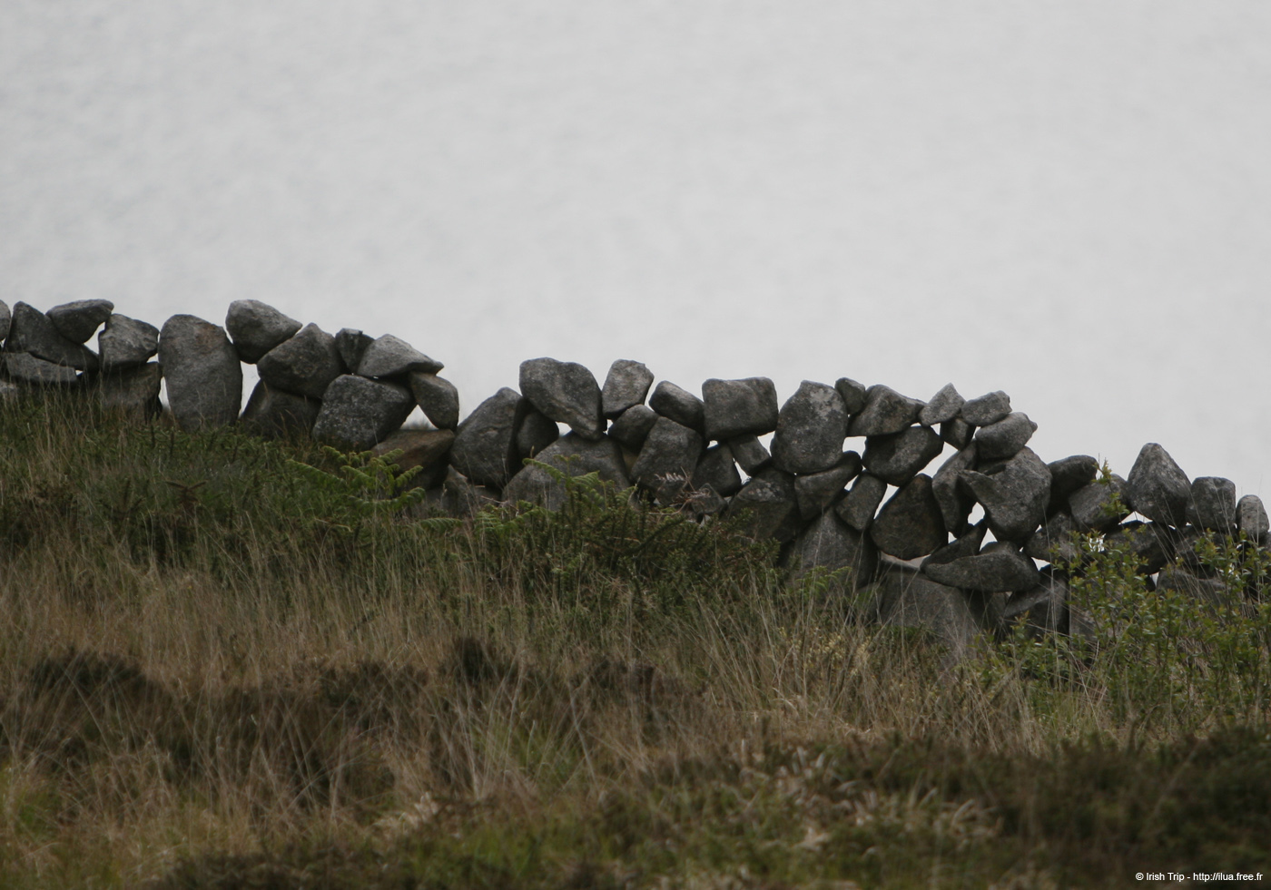 20120505_rossaveelhillstonewalls06