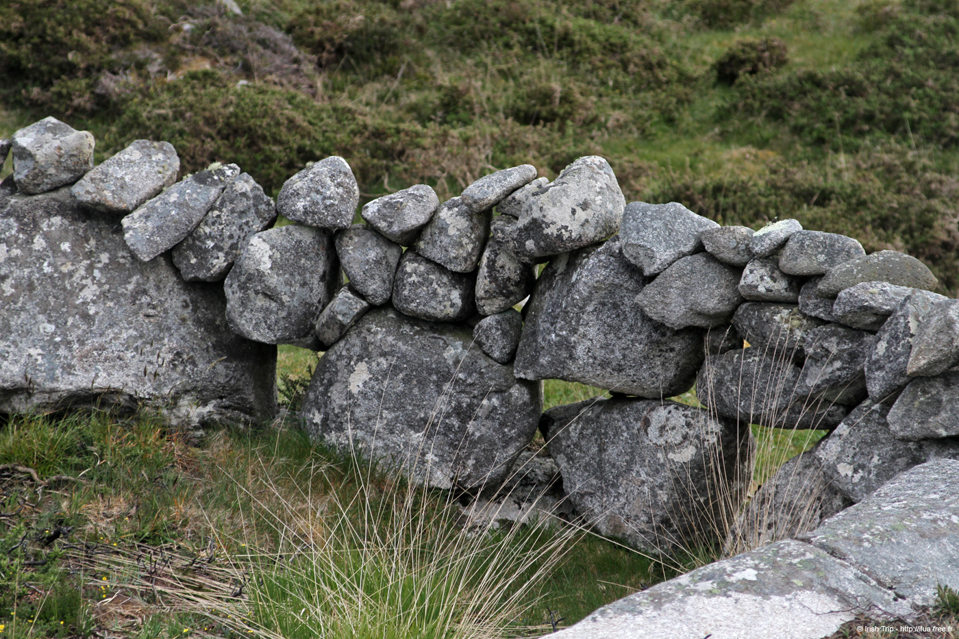 20120505_rossaveelhillstonewalls09