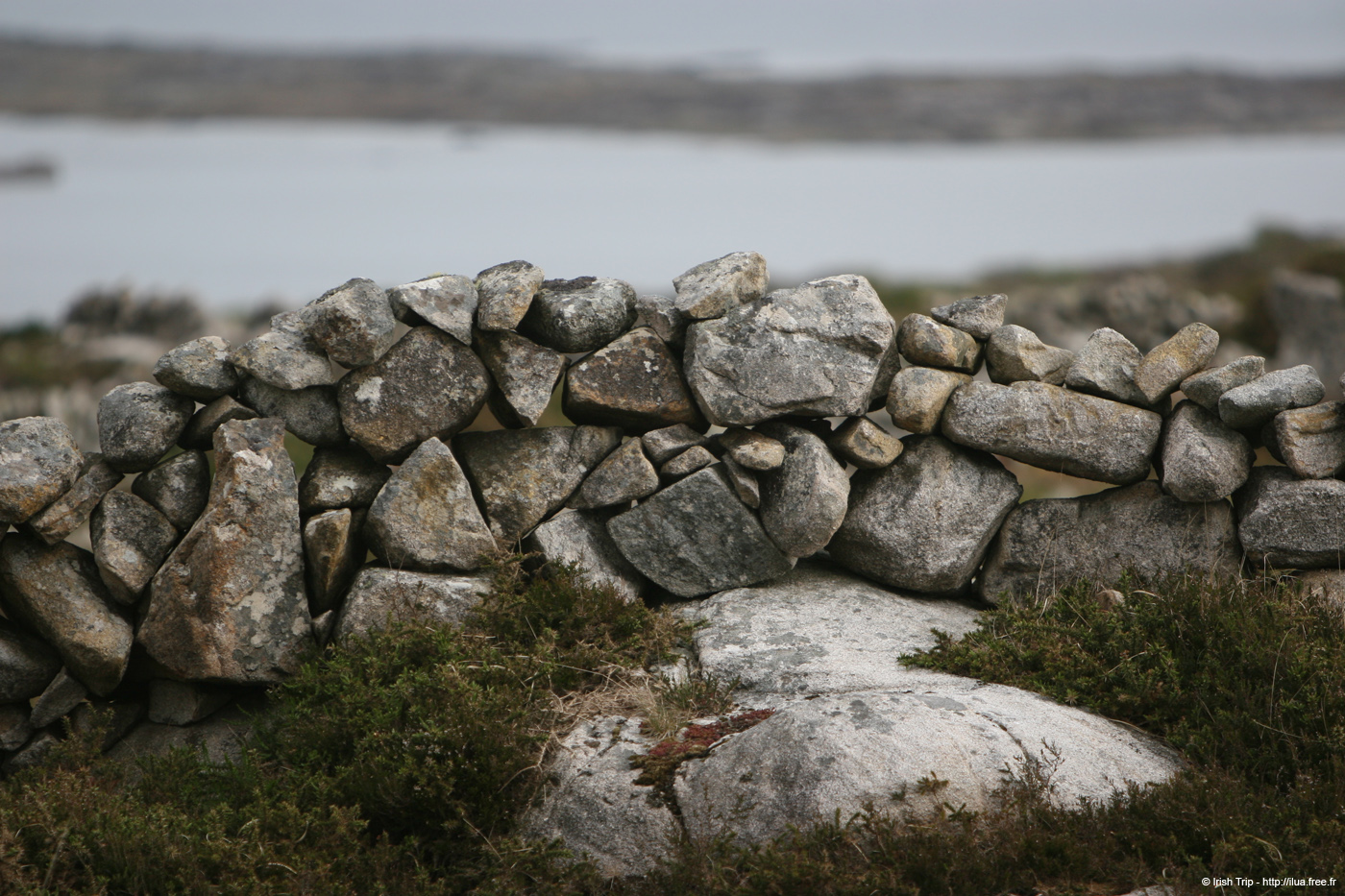 20120505_rossaveelhillstonewalls10