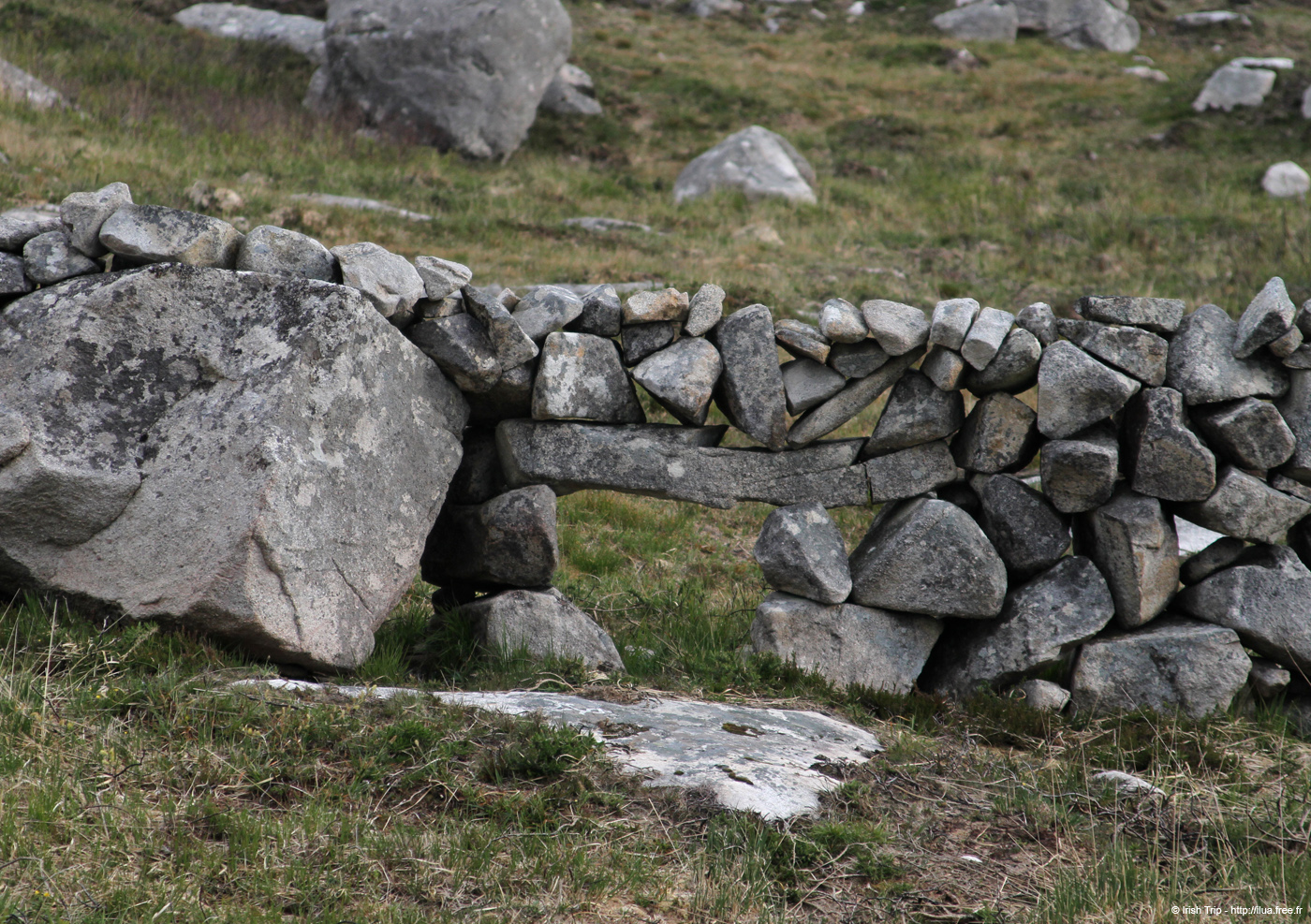 20120505_rossaveelhillstonewalls11