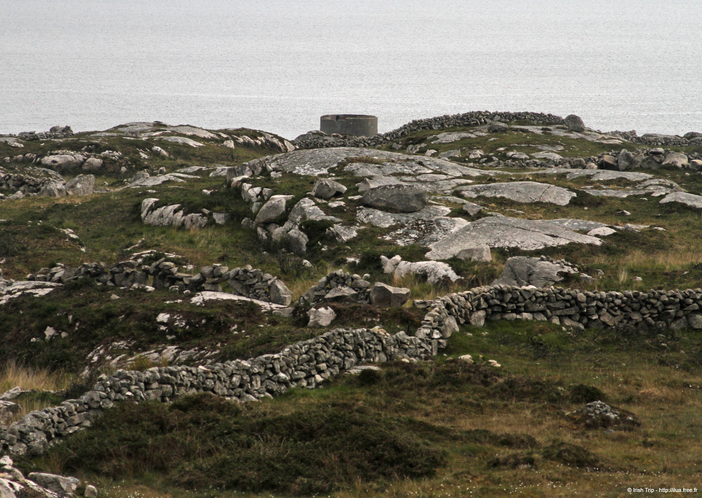 20120505_rossaveelmartellotowerfromnne1