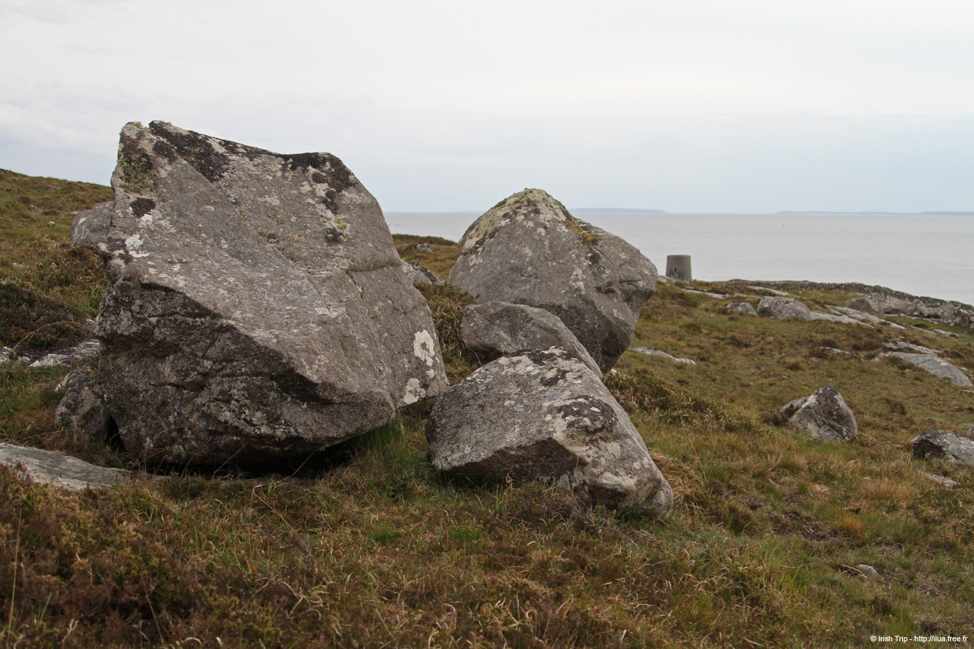 20120505_rossaveelmartellotowerfromnne2