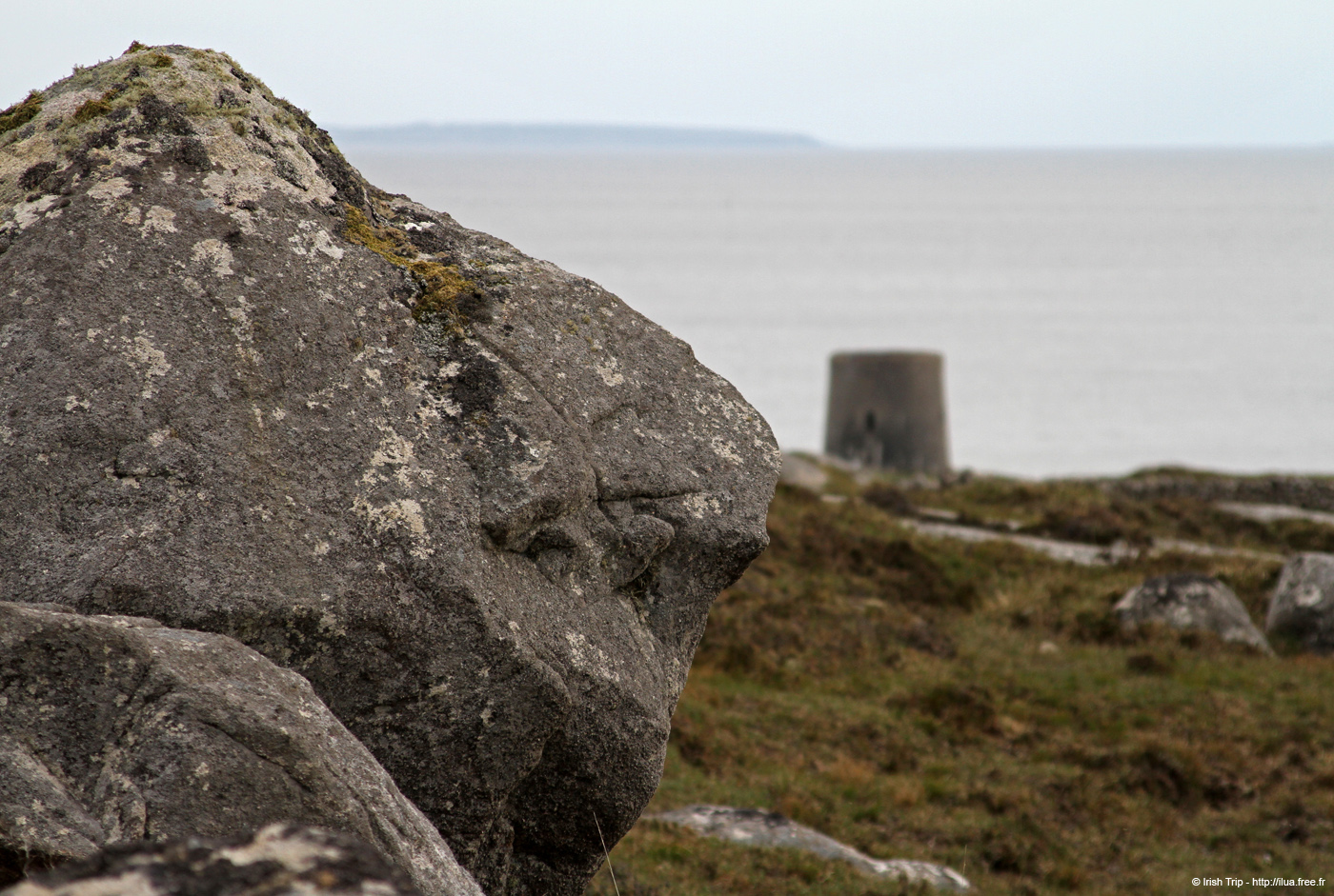 20120505_rossaveelmartellotowerfromnne3