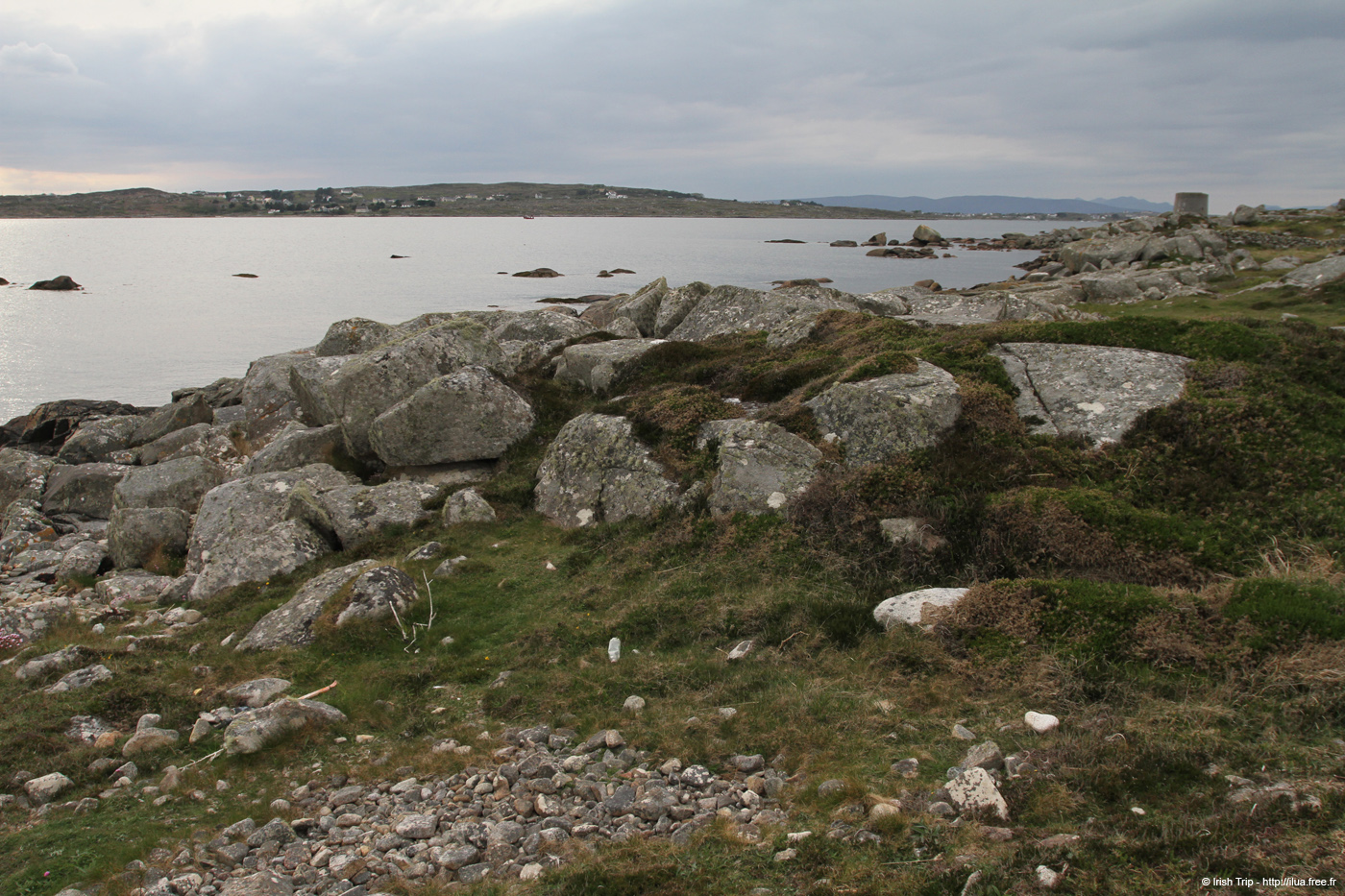 20120505_rossaveelmartellotowerfromsse1