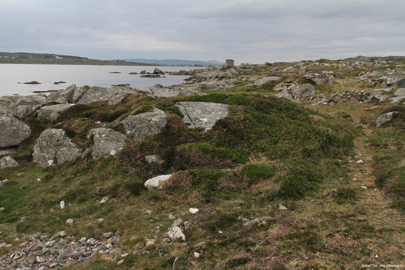 20120505_rossaveelmartellotowerfromsse2