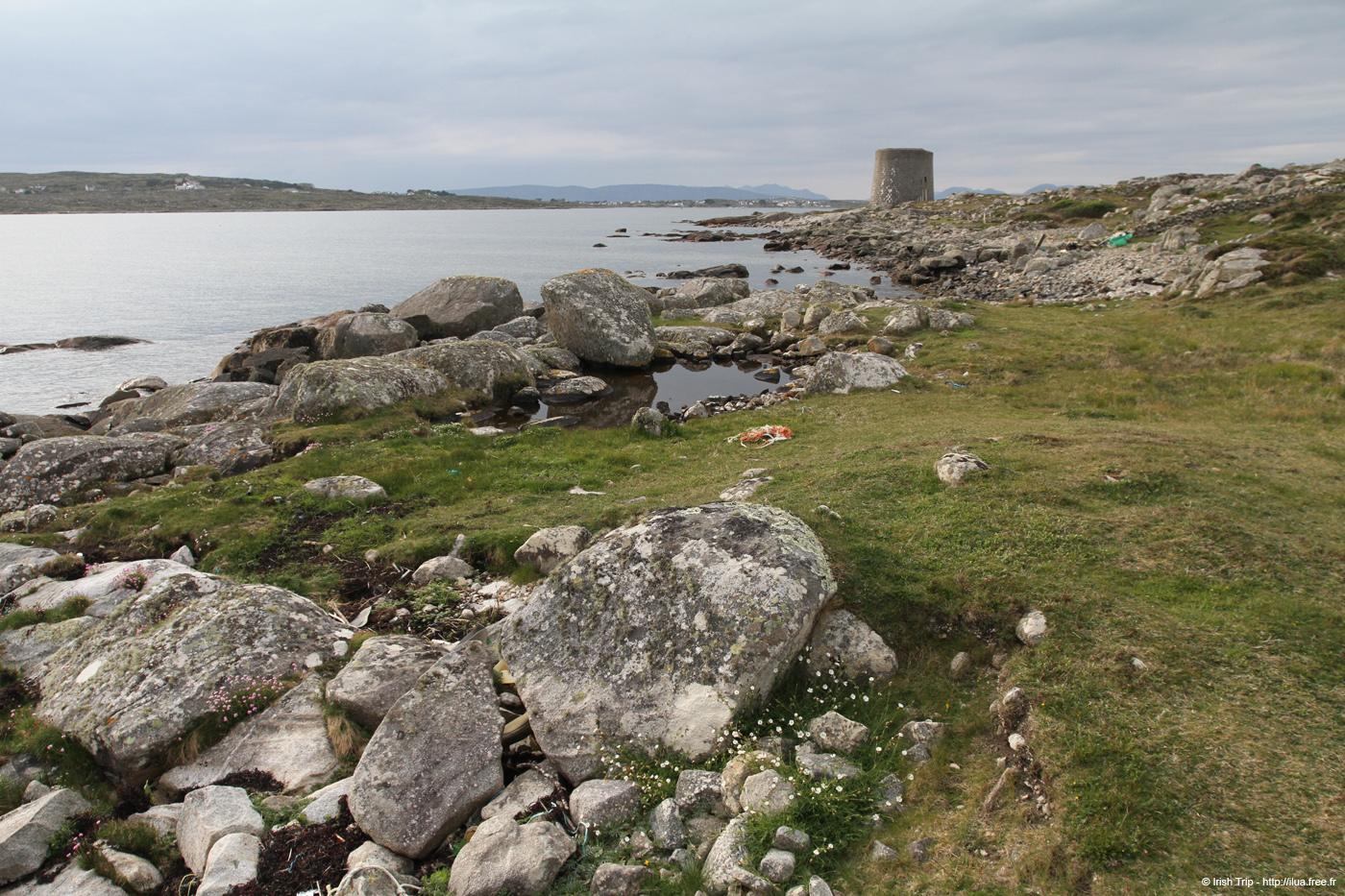 20120505_rossaveelmartellotowerfromsse3