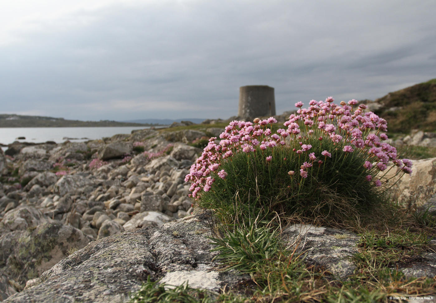 20120505_rossaveelmartellotowerfromsse5
