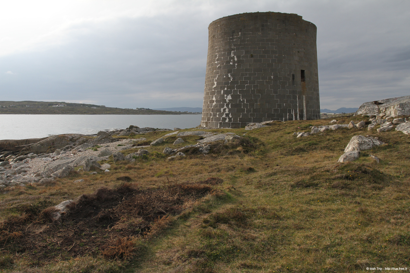 20120505_rossaveelmartellotowerfromsse8