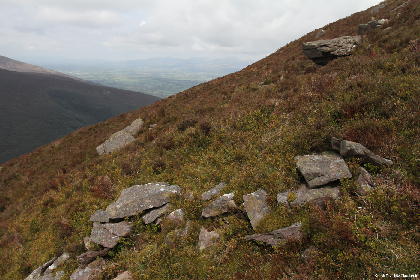 20120505_sugarloafhillnwslopes5