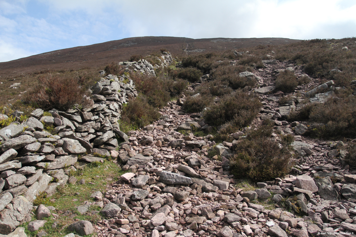 20120505_sugarloafhillpath3