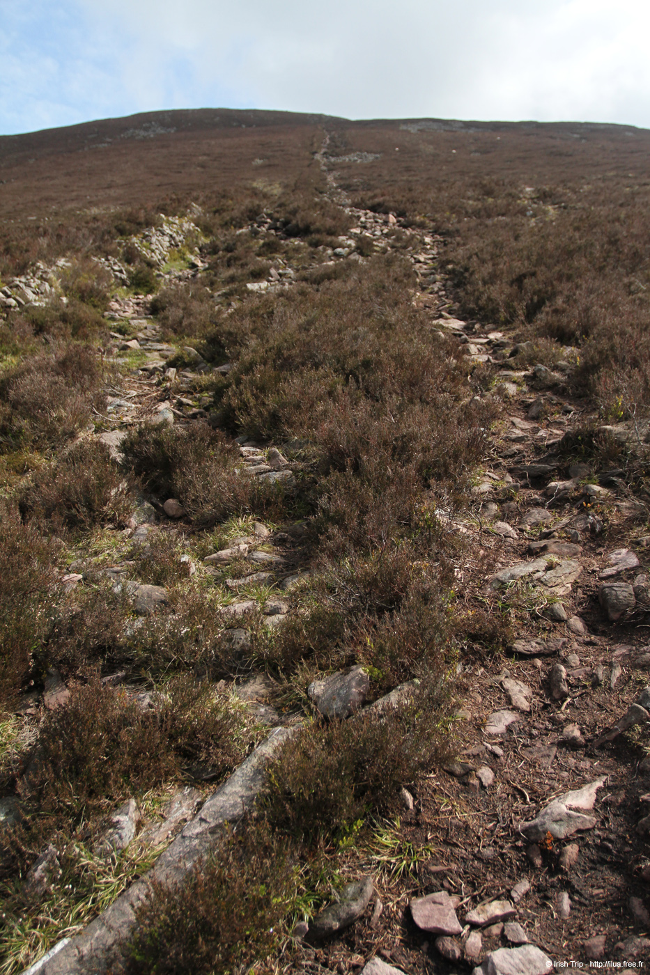 20120505_sugarloafhillpath4