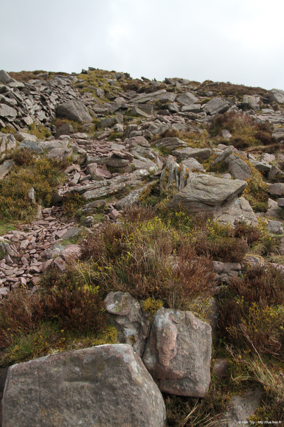 20120505_sugarloafhillpath5