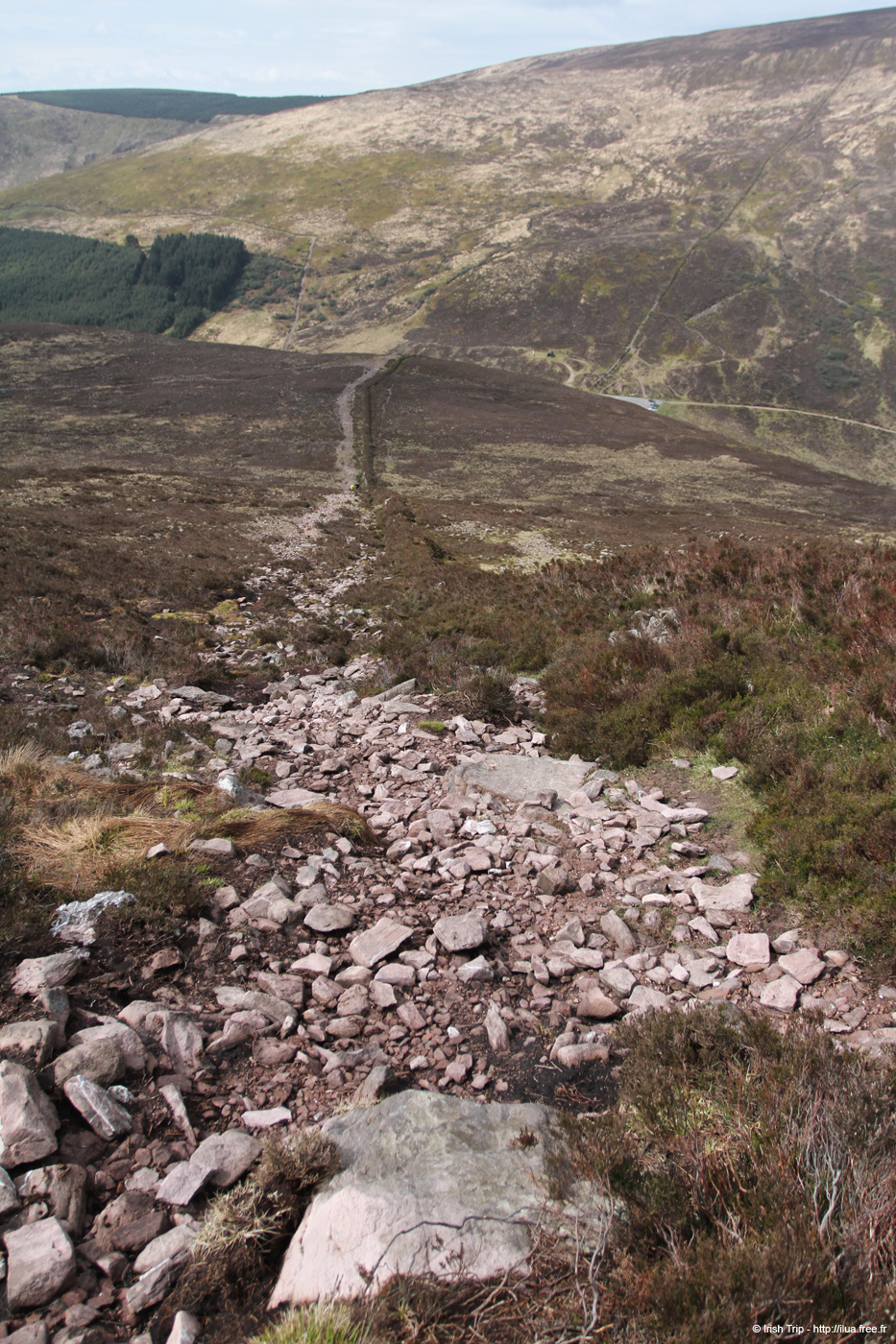 20120505_sugarloafhillpath9
