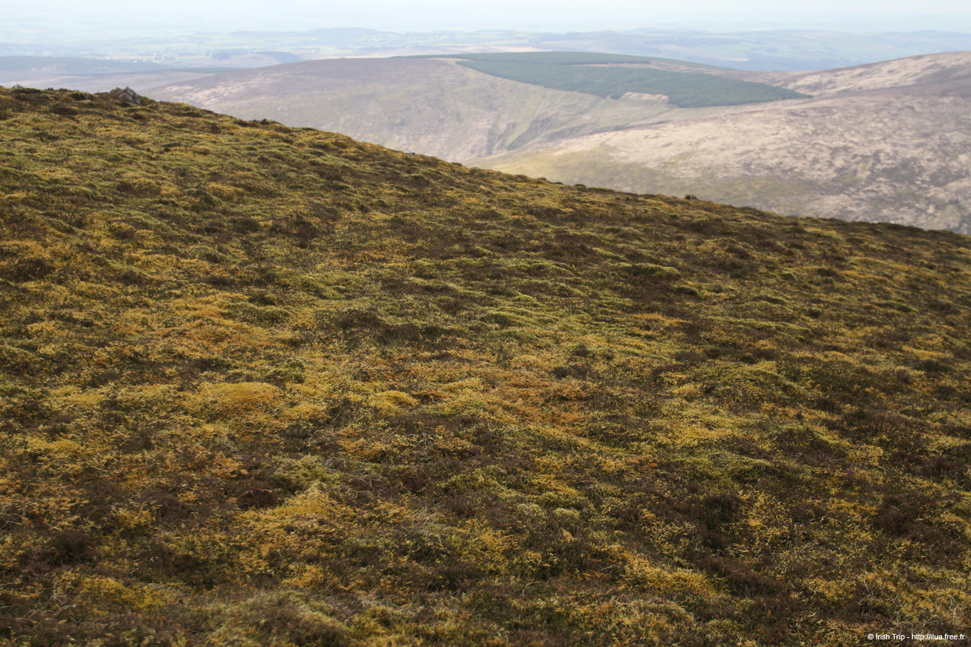 20120505_sugarloafhilltop_westslopes1