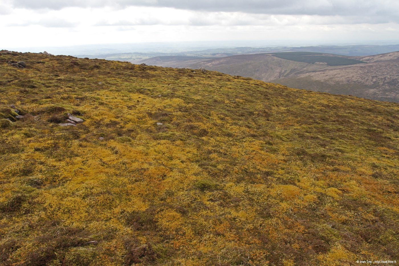 20120505_sugarloafhilltop_westslopes2