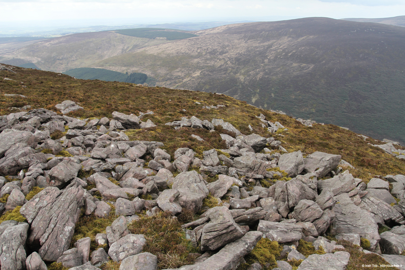 20120505_sugarloafhilltop_westslopes3