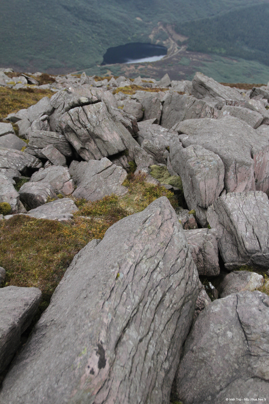 20120505_sugarloafhiltop_baylough3