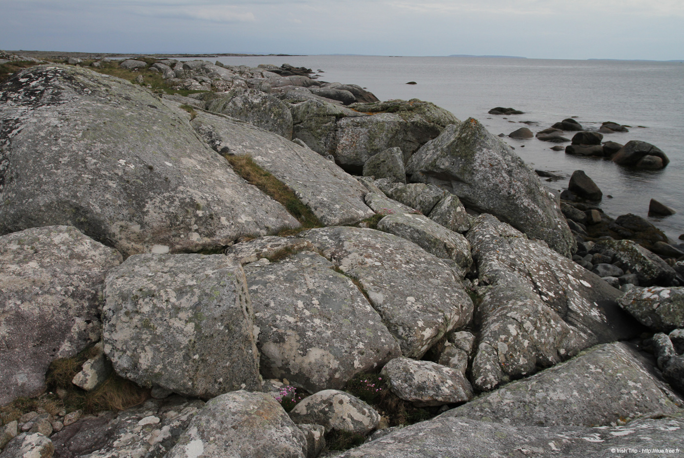20120505_tonacrickhead01