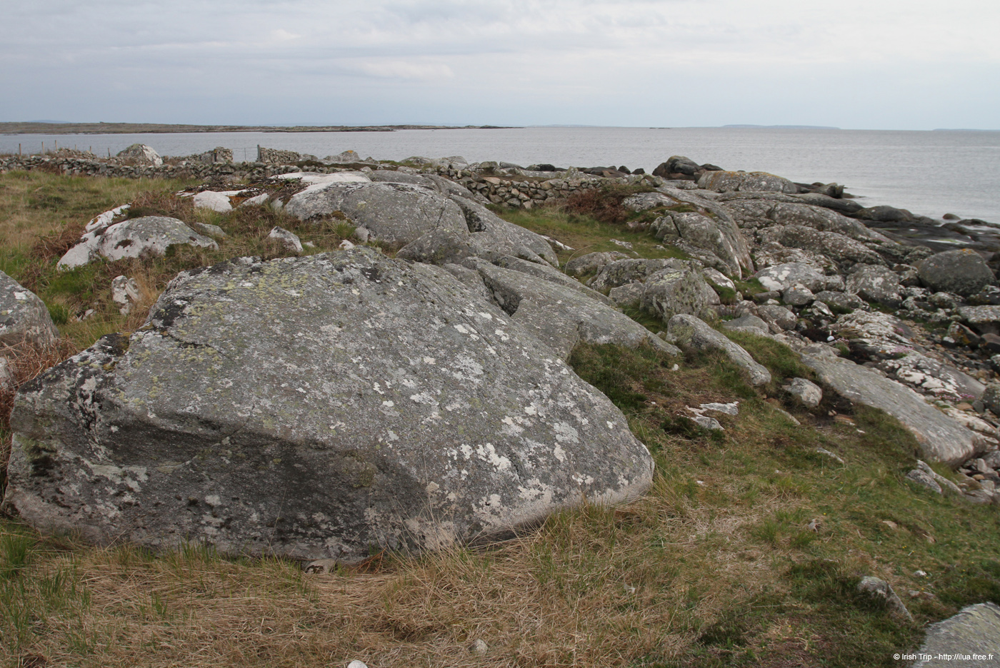 20120505_tonacrickhead02