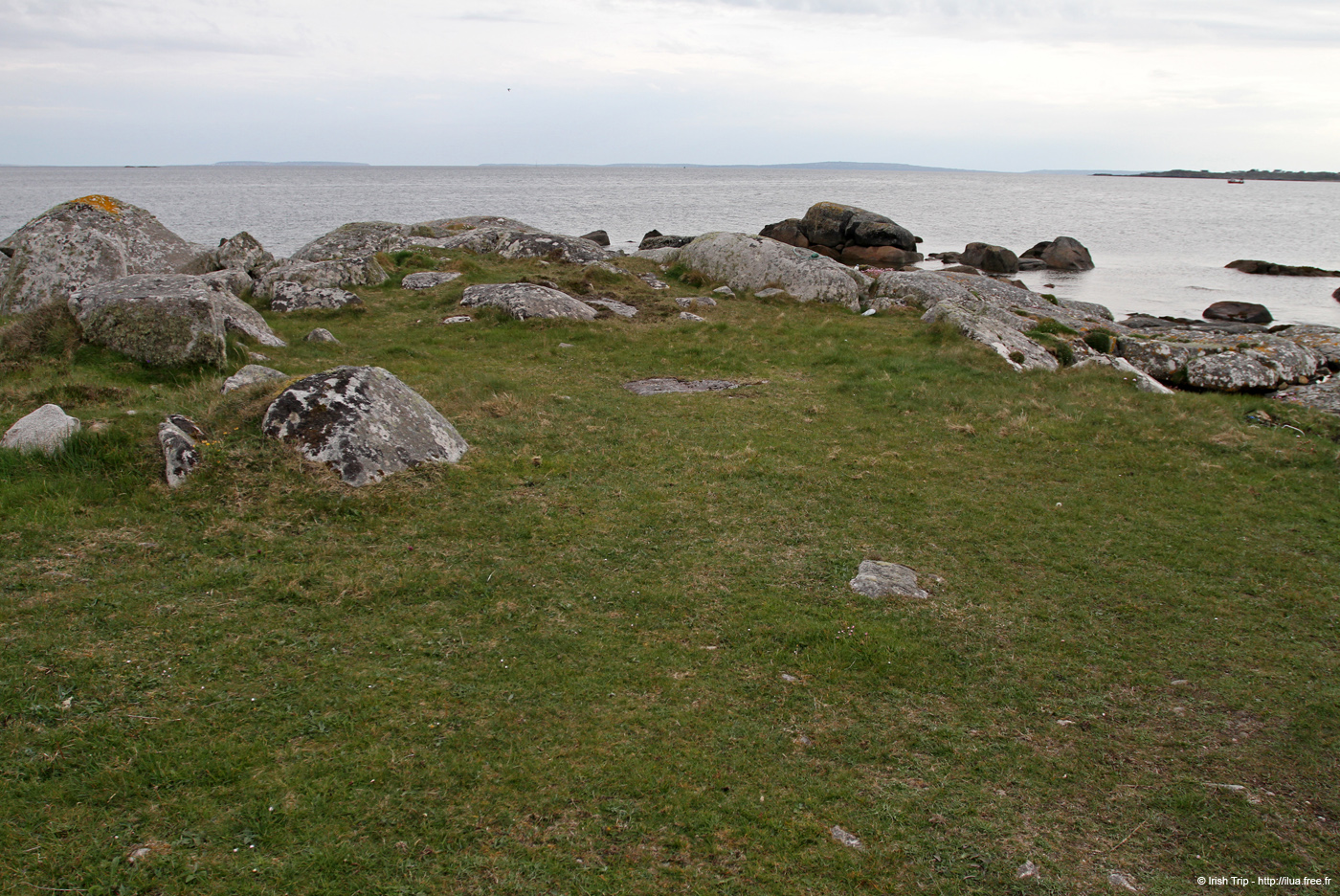 20120505_tonacrickhead03
