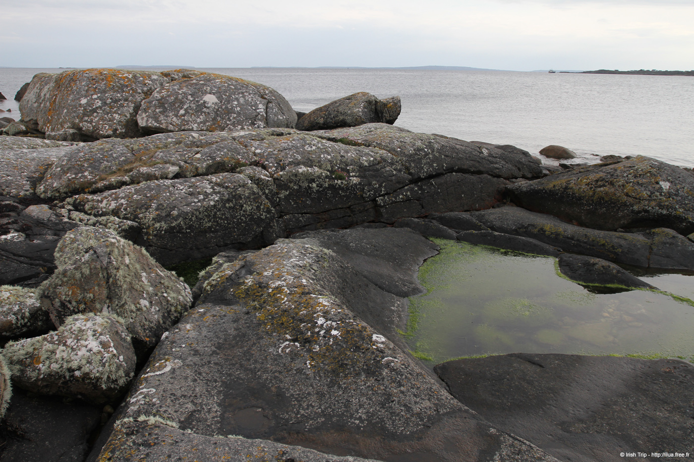 20120505_tonacrickhead04